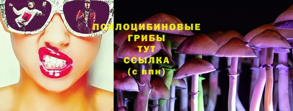 a pvp Краснослободск