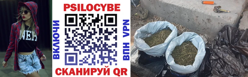 Галлюциногенные грибы Magic Shrooms Великий Устюг