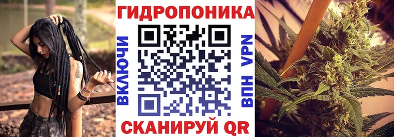 Купить закладки  Великий Устюг  Марихуана OG Kush 